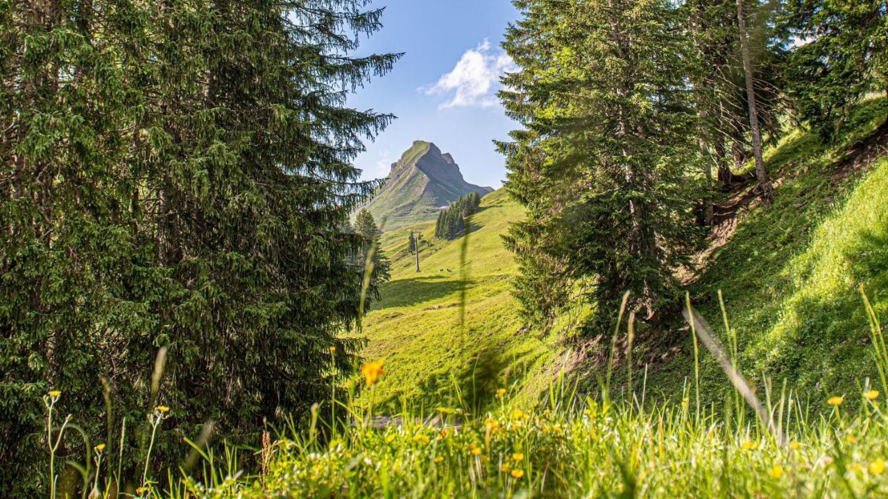 Garni Ragaz 3* Damüls